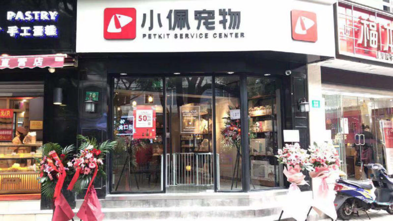 在大城市开宠物加盟店好不好