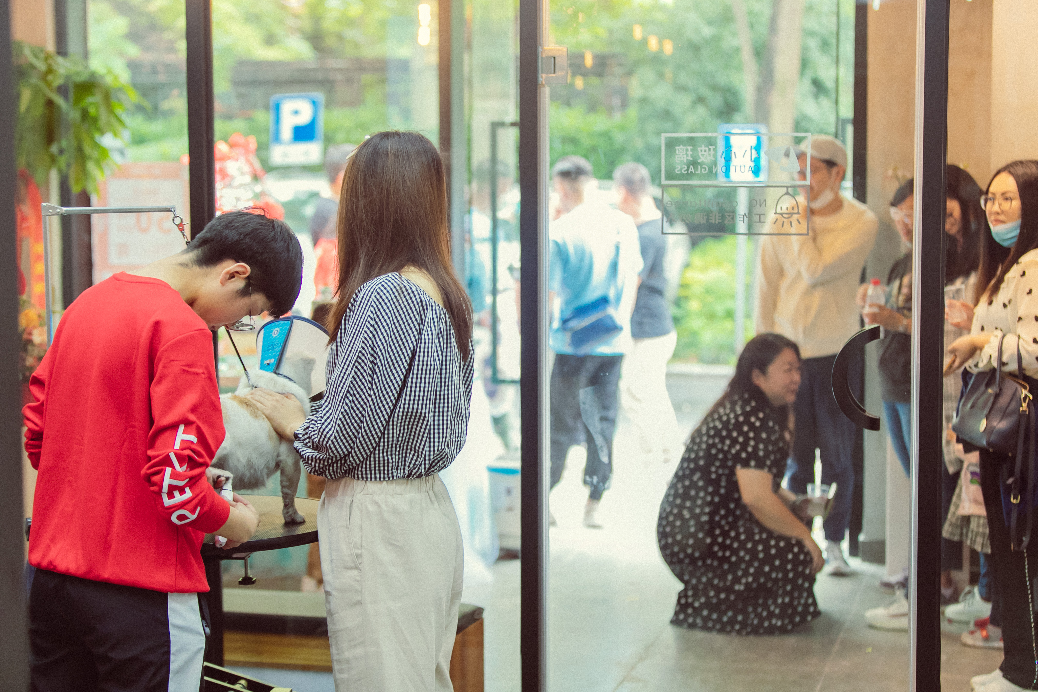 宠物店利润不好该怎么办？